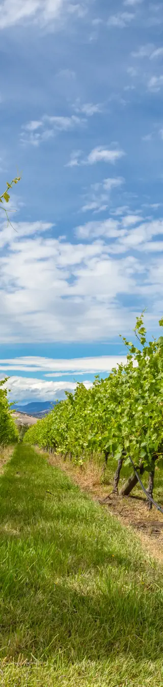 Erlebe mehr als Wein im Tamar Valley